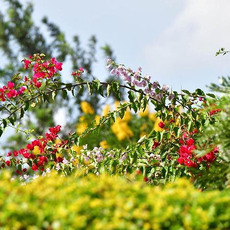 Tanzanice Farm Lodge Huyện Huyện Karatu Ngoại thất bức ảnh