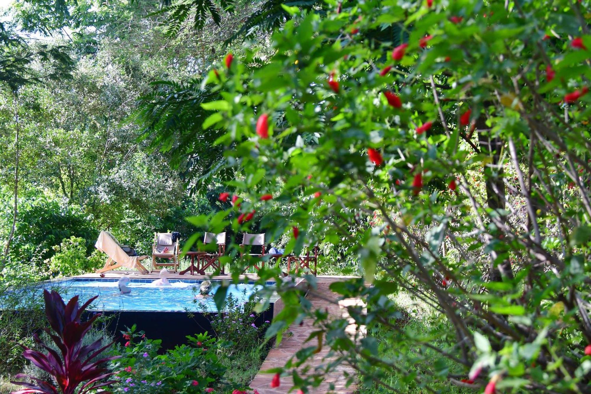 Tanzanice Farm Lodge Huyện Huyện Karatu Ngoại thất bức ảnh