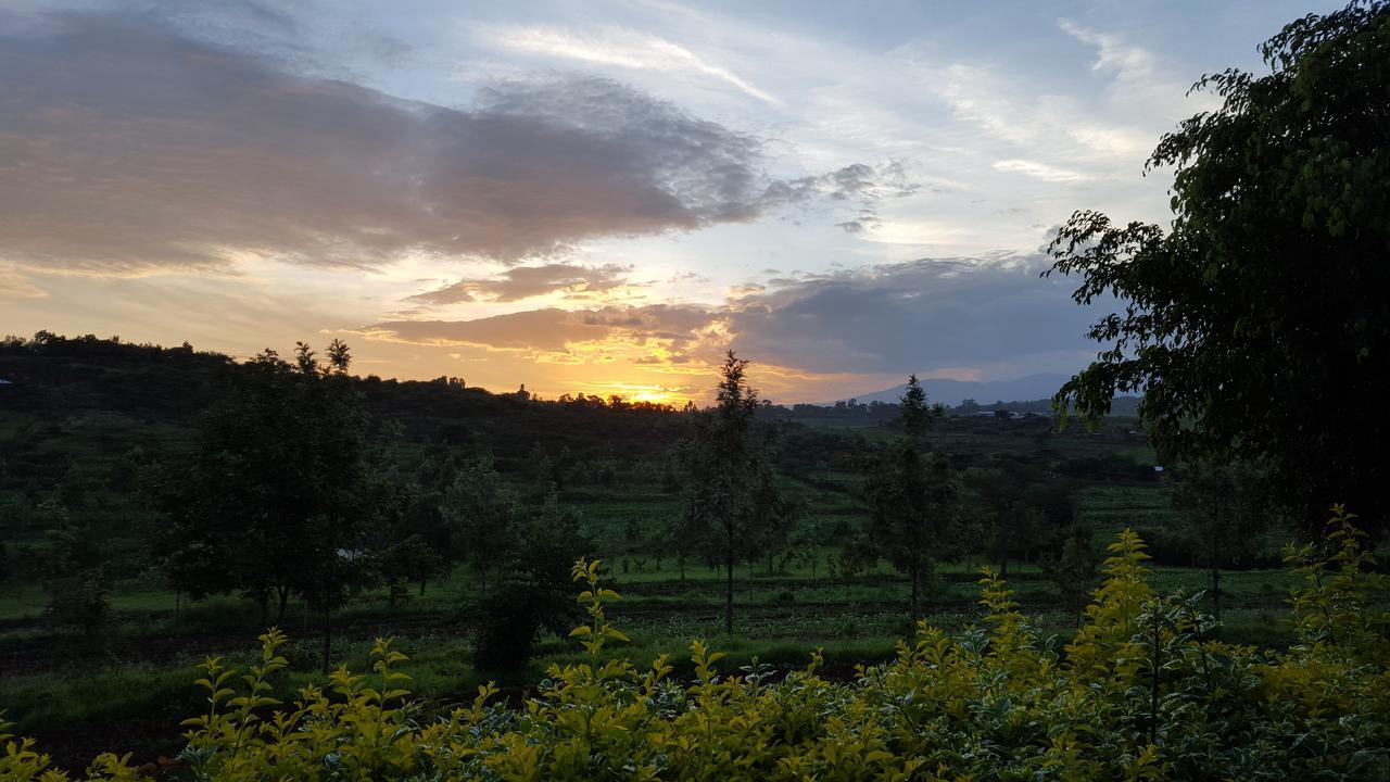 Tanzanice Farm Lodge Huyện Huyện Karatu Ngoại thất bức ảnh